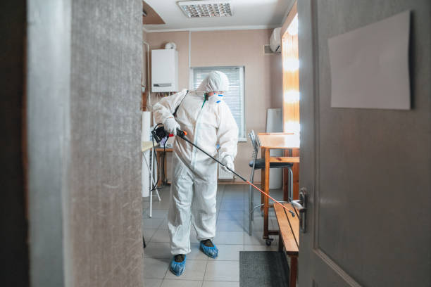 Best Mold Odor Removal Services  in Hartsville, TN